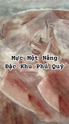 Mực ống một nắng.