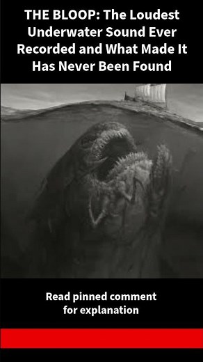 THE BLOOP: The Loudest Underwater Sound Ever Recorded and What Made It Has Never Been Found