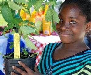 School Gardens Program - Explore Ecology