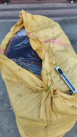 Wang.D2D Collection on Instagram