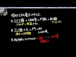 理科 吸収された養分のゆくえ