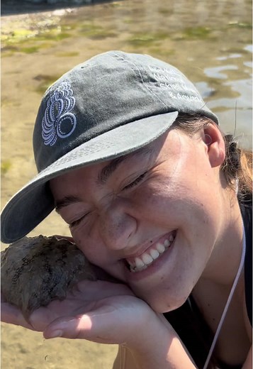 Exploring Sea Hares: Nature's Unique Mating Behavior