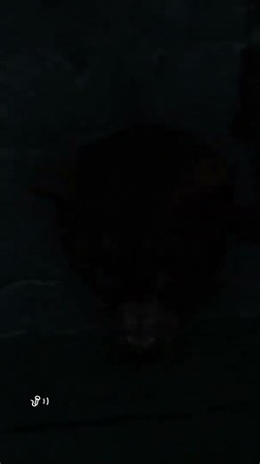 ⚠️ NEVER trust DayZ walls | #foxymandy on #Twitch #dayz