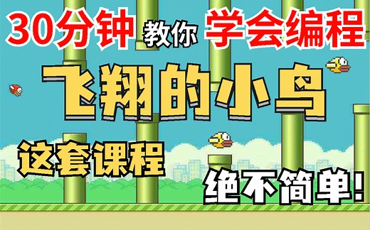 【java项目】30分钟教你学会java制作飞翔的小鸟！轻松学编程_手把手教你开发游戏_超详细教程_Java游戏开发_java入门_java基础训练