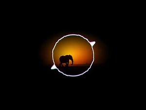 "Animal Parade" Remix 2021