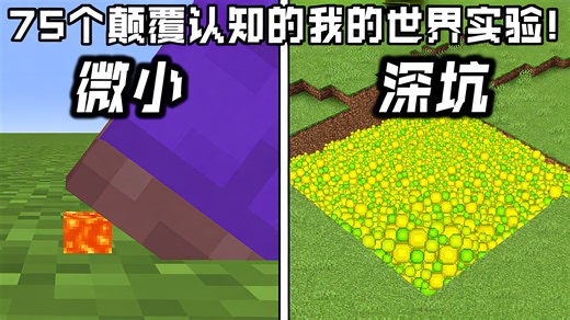 【熟肉】75个颠覆认知的《我的世界》实验！