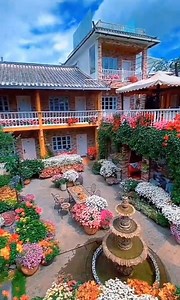 So beautiful - The flowers were blooming, the birds were singing | New Cinema 2019