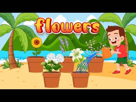 Learn Flowers for Kids | Kindergarten learning videos for Toddlers & Preschoolers