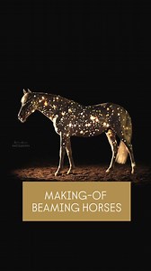 3.8K reactions · 90 comments | ✨️Making-Of Glitter Horse✨️ Hier mal etwas Neues aus meiner Beaming Horses-Serie mit Lusitano-Hengst Encantador  @anikabardenhagen #beaminghorses #equineart #ArtisticPhotography #makingof #behindthescenes | Andrea Zachrau Photography | Facebook