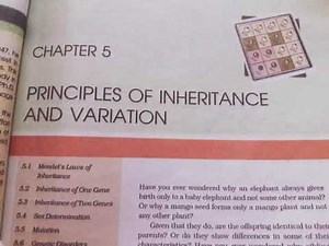 Chapter 5 Principles of Inheritance and Variations class 12th ( NCERT READING )