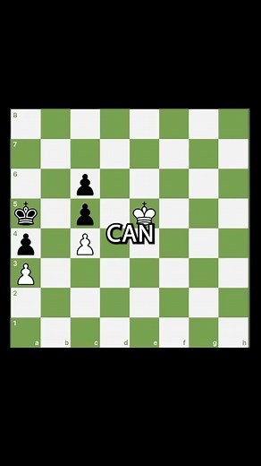 244K views · 1.7K reactions | This Chess Endgame is WEIRD! | Chess Tips #chess #chessgame #reels #shorts #chessplayer | Daily Dose Of Chess | Facebook