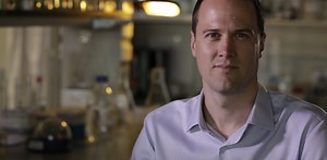 Epigenetic code cracker: why skin cells are skin cells and not neurons