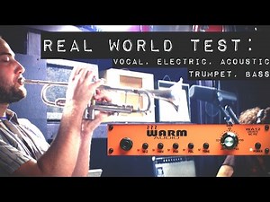 Warm Audio // WA12 Real World Test - Vocals, Electric Guitar, Acoustic, Bass Guitar
