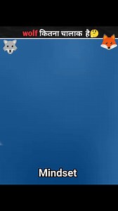 607K views · 22K reactions | 力How_smart_is_a_wolf #mindset #wolf #Brilliant #experience #young #kids #last #old #facts #short | Fact Flare | Facebook