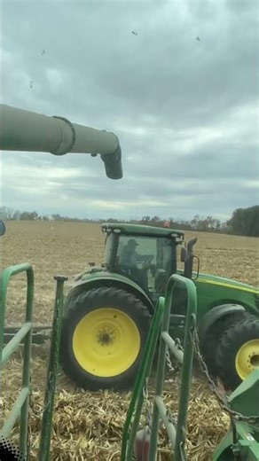 Unloading into grain cart #holdgraferfarms