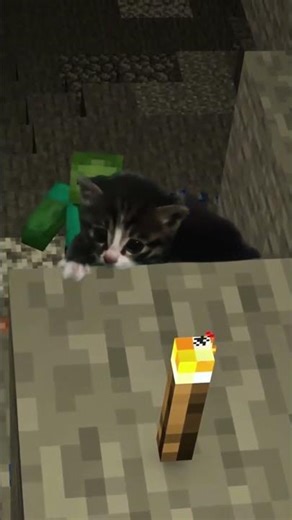 Most Adorable Minecraft EVER! Catcraft 8! #cat #minecraft