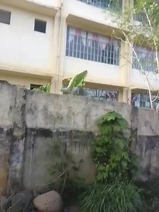 4.6M views · 41K reactions | sakpan | Bobby Vlog | Facebook