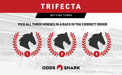 Trifecta Box Bet - Wagering Trifecta Bets In Horse Racing