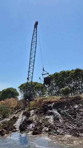 31K views · 581 reactions | Nice throw | Like it ok | Facebook