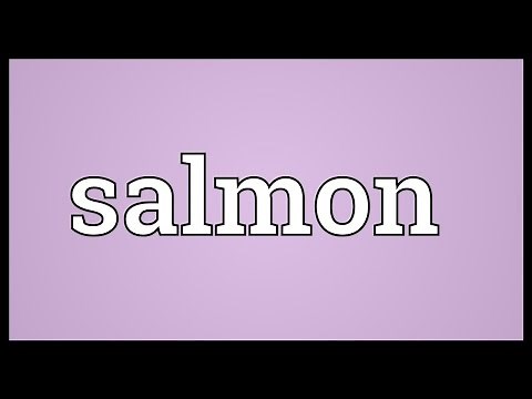 Salmon Meaning