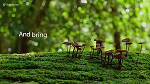 13K views · 212 reactions | Frontiers in Fungal Biology, our new journal lead by prof. G. H. Goldman from USP - Universidade de São Paulo, aims to publish significant research findings on all aspects of fungal biology to enhance our ability to decipher the nature of the complex interactions of fungi. More on the journal's scope: https://fro.ntiers.in/ueTA | Frontiers | Facebook