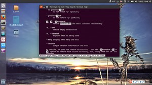 OpenFoam 第02课_基本指令