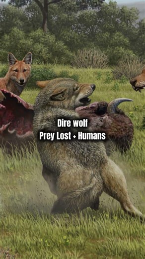 How did Ice Age Animals Go Extinct?! #prehistoric #animals