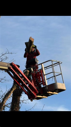 Epic start to 2026 💥 Huge thanks to Chris and his team Cutting Edge Plant Hire & Arb-Bits for the machine hire 🏗️ Big trees….no problem 😊 For a free consultation and quotation…….. 🌳 info@monstertreeservices.co.uk 🌳 07872 567381 🌳 www.monstertreesrrvices.co.uk | Monster Tree Services