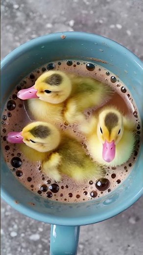 Duckling Diaries: Realistic Growth & Care#ai #cute #shorts