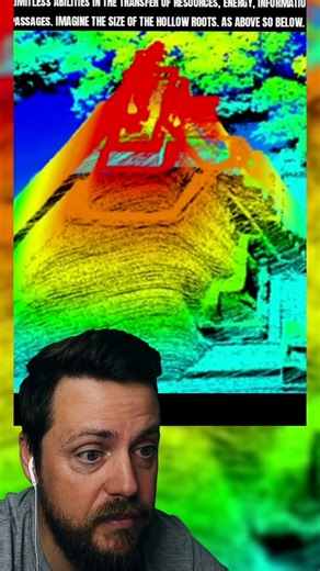 The Giant Trees Were the Old World Internet?!