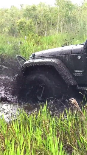 We Rescued a Jeep Stuck Deep in the Mud 🚙💪