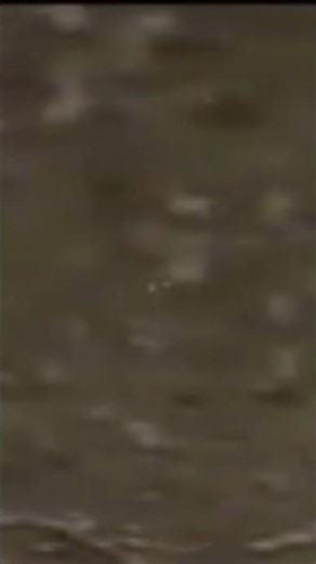 Spider Key Glitch In Granny Chapter 1 🔥 Insane Spider Key Location & Bypass 2026! 😱