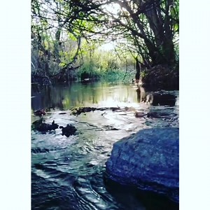 Seja como a agua... Contorne seus obstaculos.... Essa meditacao esta em nosso canal no YouTube... Naturezen Saúde e Bem Estar Acesse e ouça como coracao!!! Link direto na nossa bio❤ https://youtu.be/DbCWv9rUZPU Gratidao!  | O segredo da autocura | Facebook