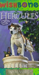 Wishbone (TV Series 1995–1998)