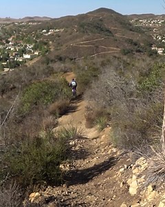 A video all about Maxxis MTB tires. The most popular models & everything you need to know. | Worldwide Cyclery