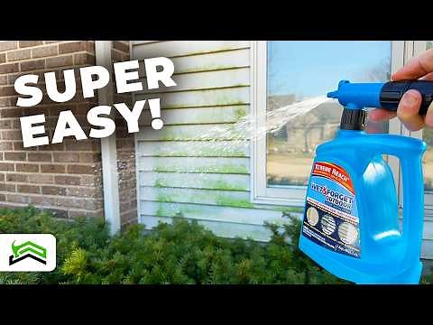 Best Way To Clean Vinyl Siding | Quick Fix For Green Algae