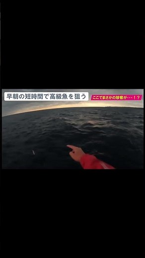 An unexpected giant creature I encountered while fishing #fishing #slowjigging #jigging #oceajigger