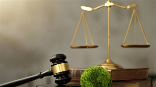 NSW Local and Environment Court list