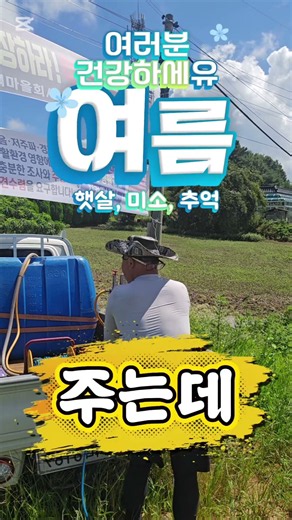 #대부tv #고구마농사 #수확전 #영양제주기
