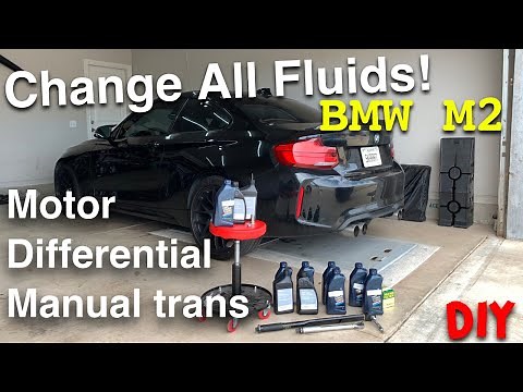 DIY: BMW M2 Oil, Differential & Manual Transmission Fluid Change