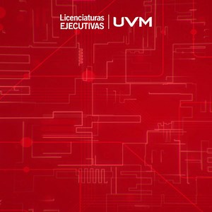 1.7K reactions · 154 shares | En UVM valoramos tu experiencia previa, revalida materias y completa tu Licenciatura en línea más rápido. ¡Inicia hoy! | UVM | Facebook