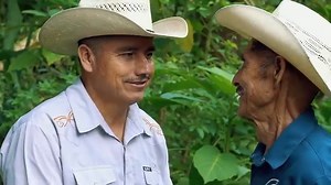 58K views · 988 reactions | Trio Alborada Hidalguense - Visité a mi Padre Una producción de Fotografía y Vídeo Elegancefilms Video Realizado en las Manzanas Tlahuiltepa #asidebonitoelegancefilms | Fotografía y Vídeo Elegancefilms | Facebook