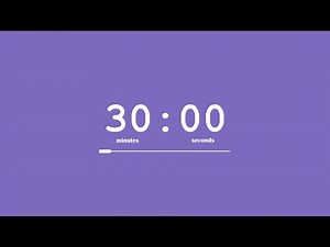 ⌛ 30 Minute Timer / Velvet Purple Screen 💜 / Countdown