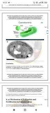 BBYCT 131 Solved Assignment For Bscm Bscg Bsc Students Of IGNOU