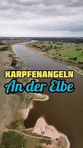 23K views · 1K reactions |  Karpfenangeln an der Elbe in den Buhnen...