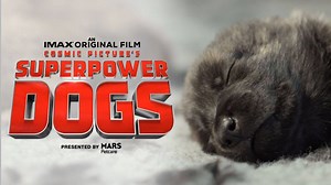 181K views · 1.8K reactions | Official announcement—Chris Evans...