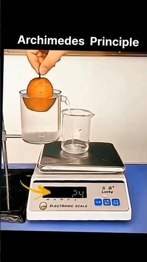 Archemedes principle simple demonstration.... #shorts #youtubeshorts