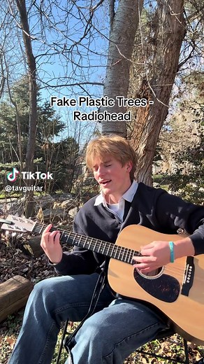 Exploring Real vs. Fake Plastic Trees in Music