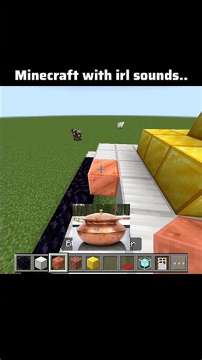 Minecraft With IRL Sound (25)