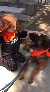 21K views · 2.6K reactions | AVAILABLE FOR ADOPTION Meet Thor! He is looking for a family of his very own. He and Ella, one of our youngest volunteers are best pals! | German Shepherd Rescue of Orange County | Facebook
